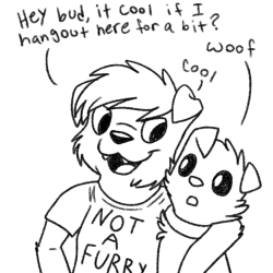 askwinonadog:Ask the mod dog questions, or