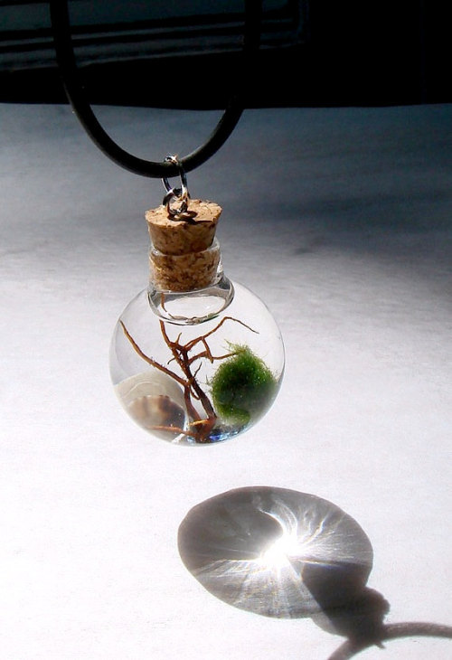 wickedclothes:Mini Terrarium NecklaceCarry tiny life around your neck every day. This mini terrarium