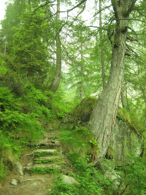 Valle della Legna - Colle Fricolla by Andrea Camoletto