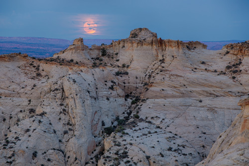 mypubliclands:In Case You Missed It: We Continued Our #conservationlands15 Celebration Last WeekendP