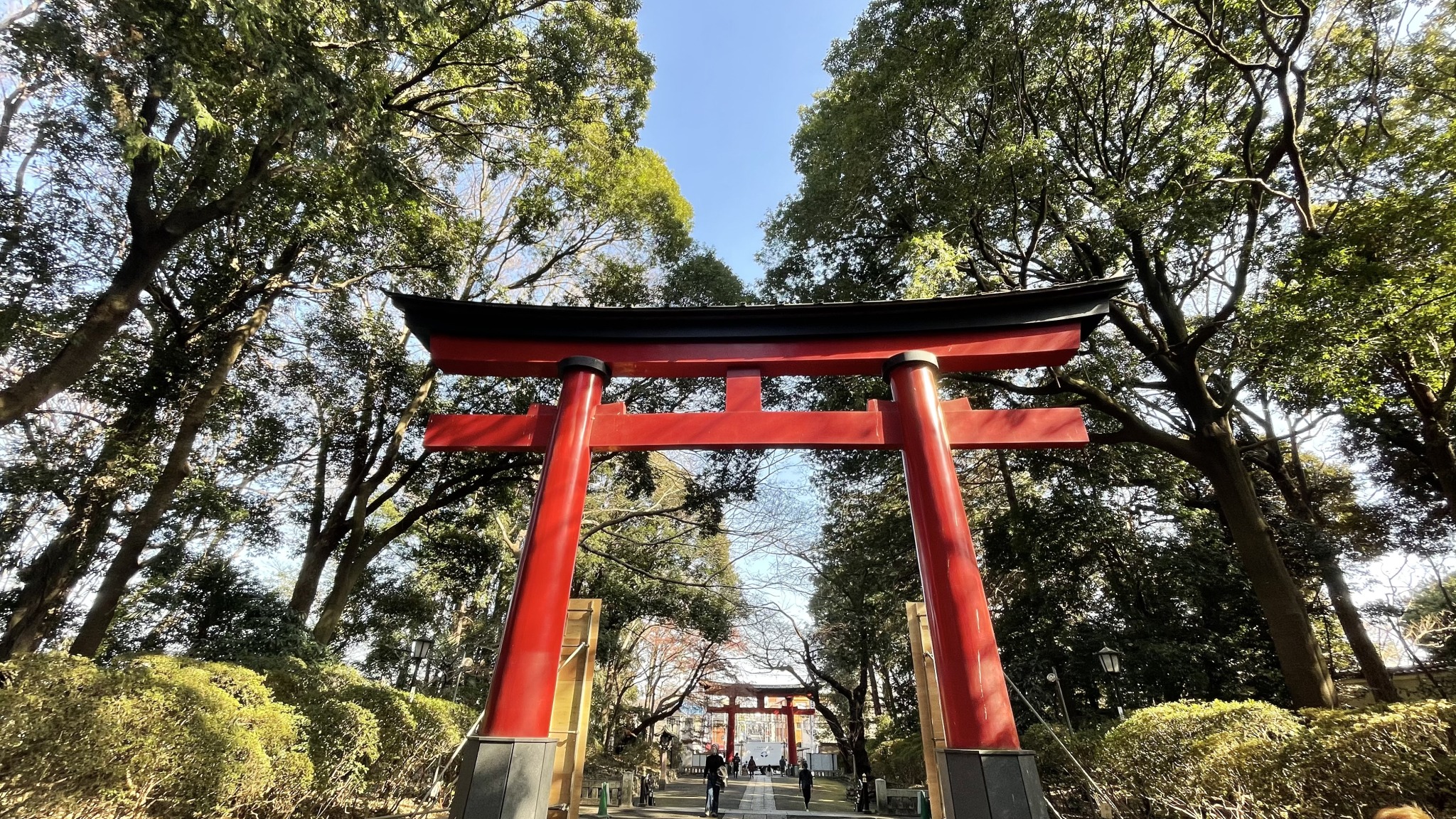 吉原神社 Explore Tumblr Posts And Blogs Tumgir 吉原神社 Explore Tumblr Posts And Blogs Tumgir
