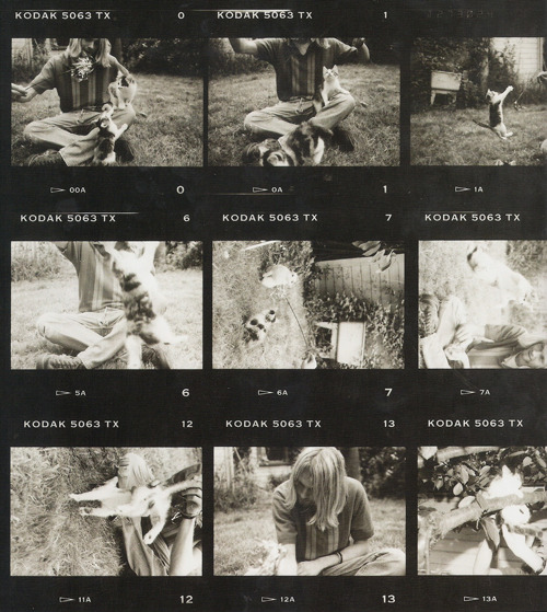 peternyc:  Kurt, Nirvana, Frances with Cats Happy Friday