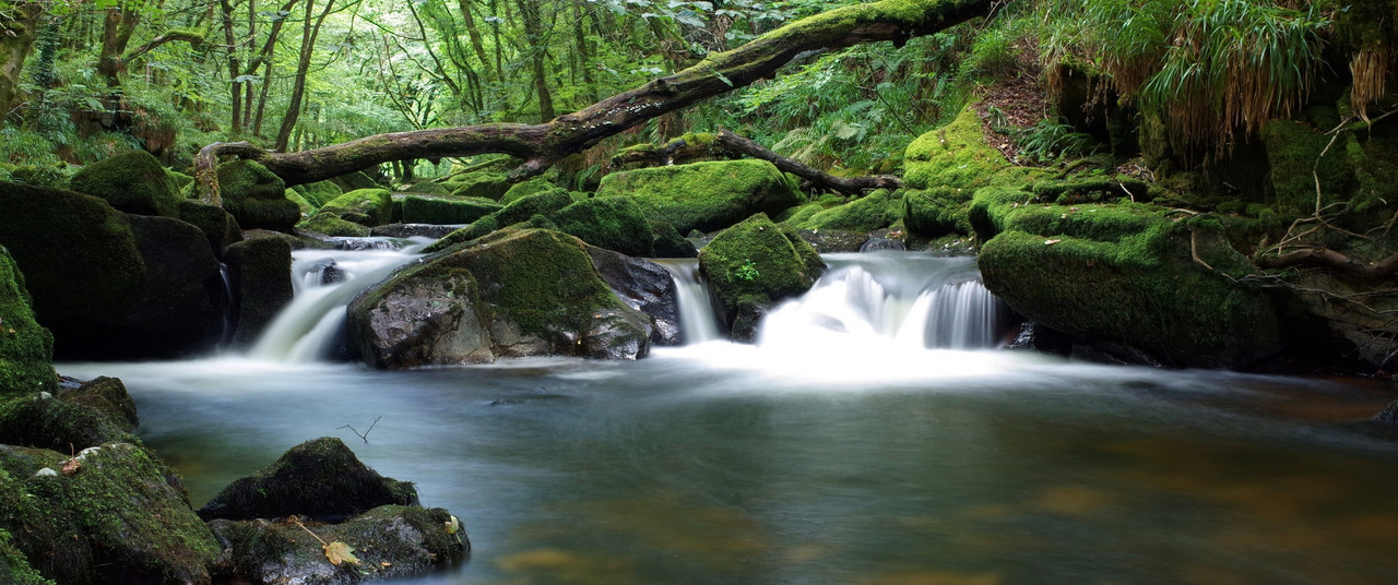90377:    golitha falls, cornwall by sandilands villa   