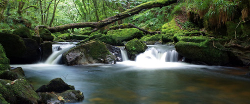 90377:    golitha falls, cornwall by sandilands villa   