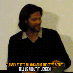 jensenacklesmishacollins:  Jared, I need to sit down with you and talk! 