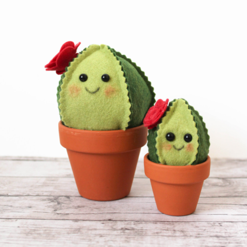 vulpix: sosuperawesome:  Felt Succulents porn pictures