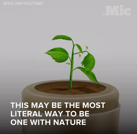 the-future-now:  The BIOS urn isn’t the only green death option. Follow @the-future-now 