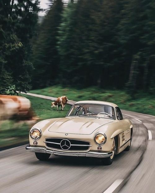 eurotrip:Photo: stephan_bauerMercedes Benz adult photos