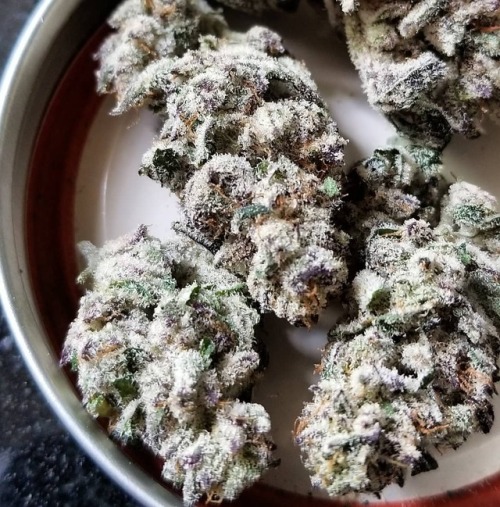 weedstreetwear: Gelato Cake ❄