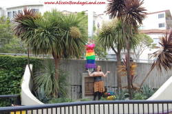 Finished pride flag project with Denali Winter - hundreds of people in downtown San Francisco, California saw our public bondage performance art this year. See the video at http://www.aliceinbondageland.com - we&rsquo;re putting FUN back into FemDom,