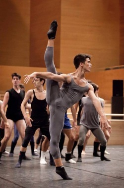 Danseur Flexibility