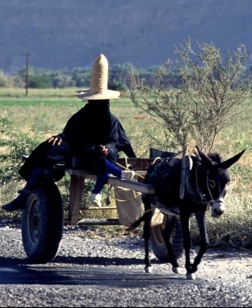The Female Goat Herders Of Hadhramaut, Yemen
