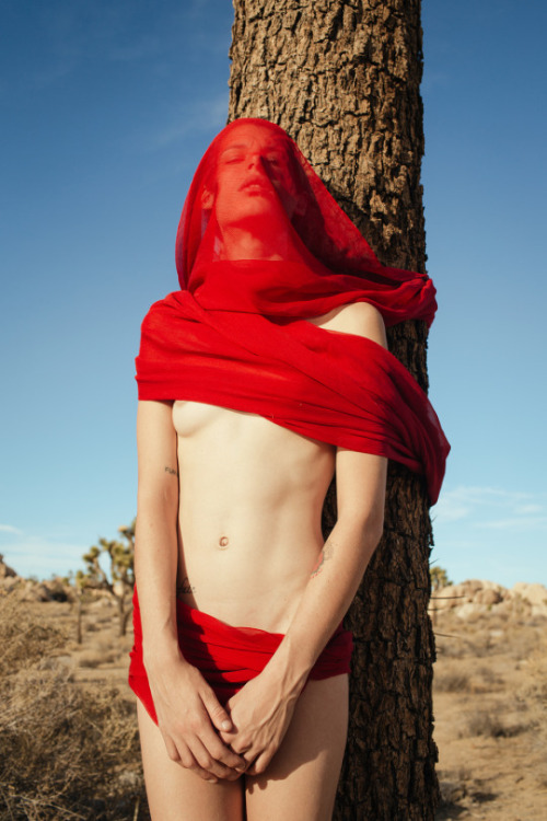 adreciclarte:  by Shawn Hanna 