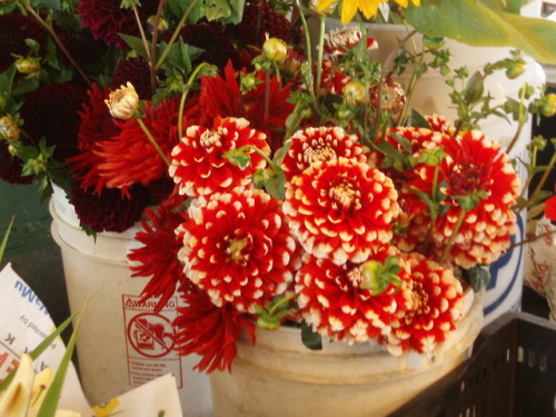 Pike Place Market in August II: Summer Flowers, Seattle, 2007.