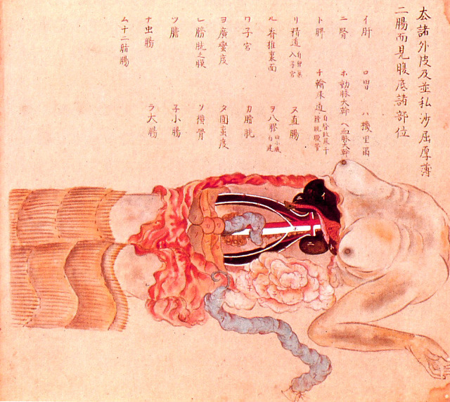 Anatomical illustrations from Edo-period Japan, 1603-1868 http://morbidanatomy.blogspot.com/2010/10/anatomical-illustrations-from-edo.html