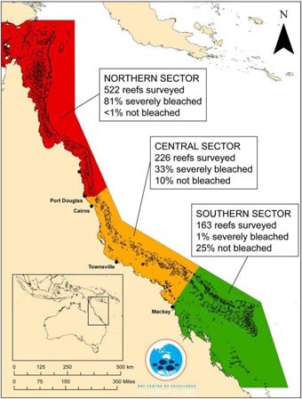 Half Of The Great Barrier Reef Is Either Dead Or Dying, And 93% Of It Is Now Bleached. Coral Bleaches