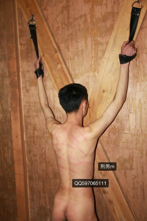 xingnan: 寻主，个人真实照片。
