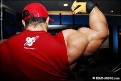 Roelly Winklaar