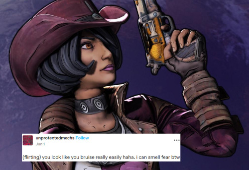 And We're Back. Borderlands Text Posts Part Five!
