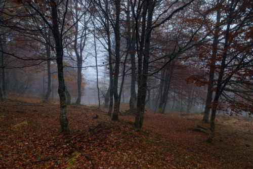 Otoño en Peloño by Alfredo G Nicieza