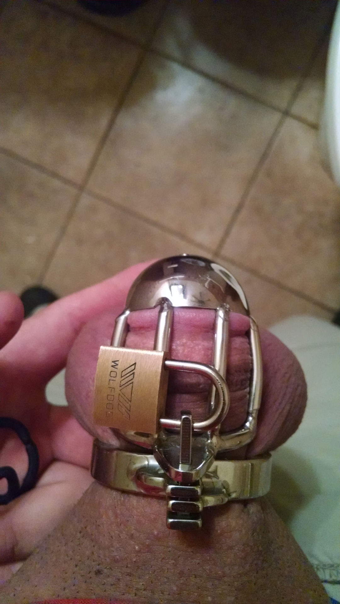 ukbdsm:  No teasing my glans with this metal prison!   Follow  please! One day