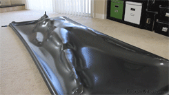61 Vacbed