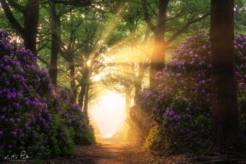 te5seract:Kaboom! & A beautiful morning byMartin Podt