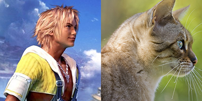 amandablogsthings:  Final Fantasy X : Catnip 