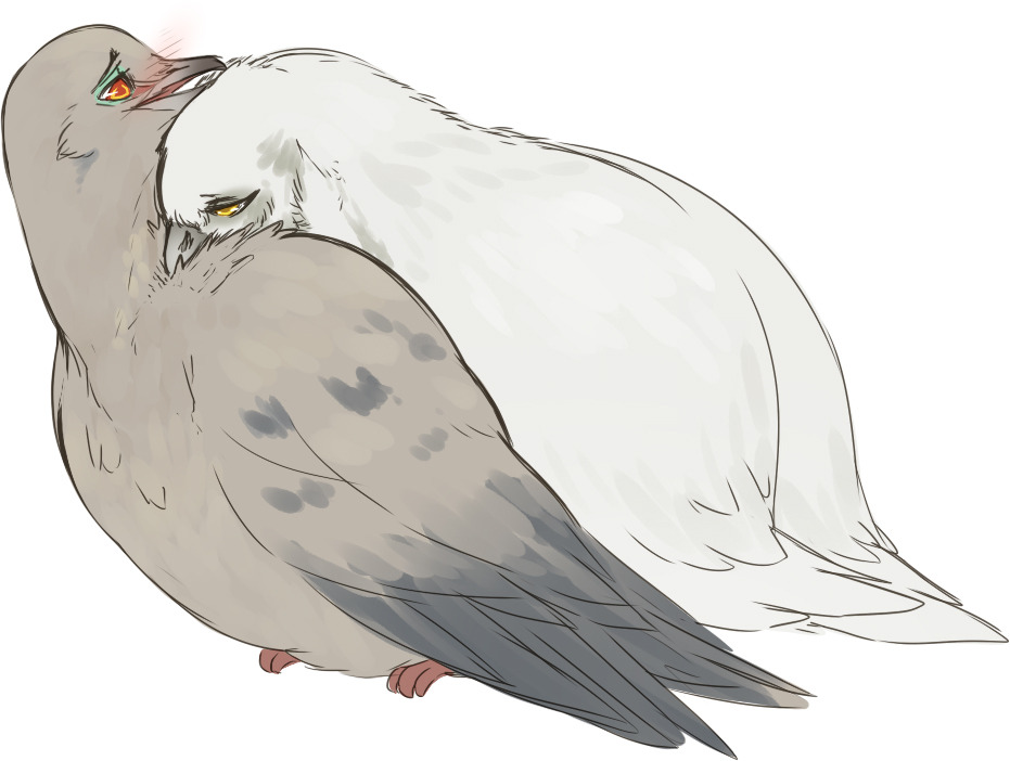 maimbutt:  I’m shipping birds, again.  omfg yessssss&hellip;!