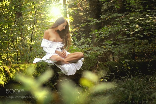 forest meditiation by Artofdan
