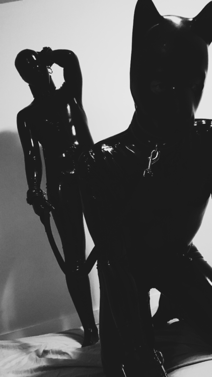 dakinklife: Gimp & Pup