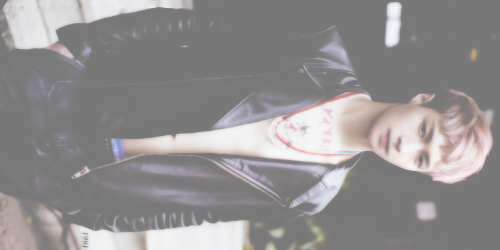 EXO Pale Headers