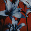 darkorchidiea
