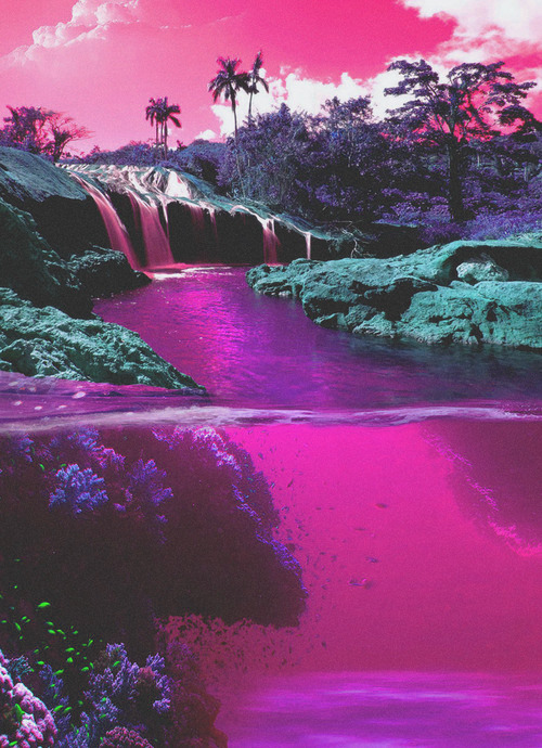 Caught between reality and daydreams