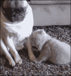 sabboctopus:  It’s, um, it’s touching me…  
