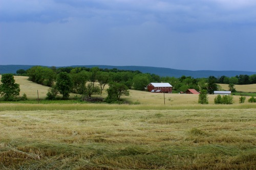 Pennsylvania Farm Lands