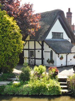 vwcampervan-aldridge:  Thatched Cottage at Alrewas, Lichfield, Staffordshire All Original Photography by http://vwcampervan-aldridge.tumblr.com 