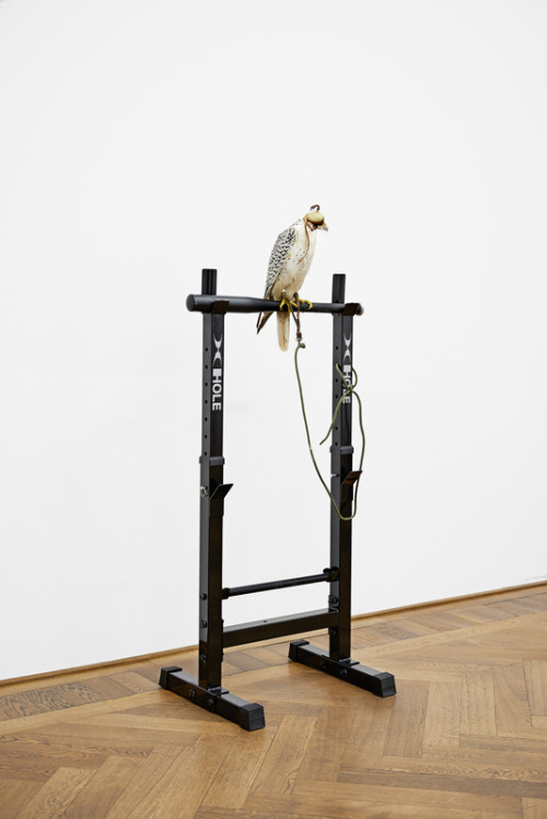 pootee: Contemporary Art Daily - Anne Imhof at Kunsthalle Basel