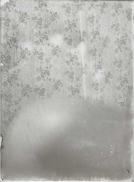 Michel Vaerevijck, Feuilles Mortes, 2014(Faded memory interpretation, silver on glass/opalotype)