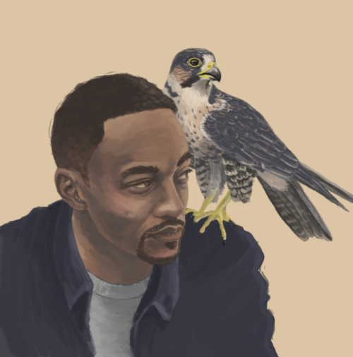 Bird School: For Birds