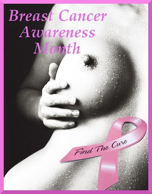 1ruckus:  im-gwen:  Breast Cancer Awareness Month  Save the Ta-Ta’s!! Donate to