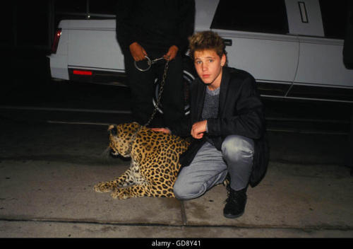 Can someone explain this to me? Same outfit, same leopard, same car&hellip;clearly same day. yet