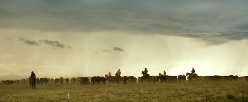 Hell or High Water, 2016DramaDirected by David MackenzieDirector of Photography: Giles Nuttgens