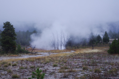 Firehole River & steamy surrounds at dawn, Upper Geyser Basin,Yellowstone National Park – 