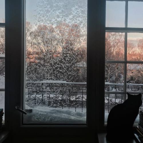 nakedly:(-19 degrees celcius so the windows have frosted snowflakes on them) // insta @annikabansal 