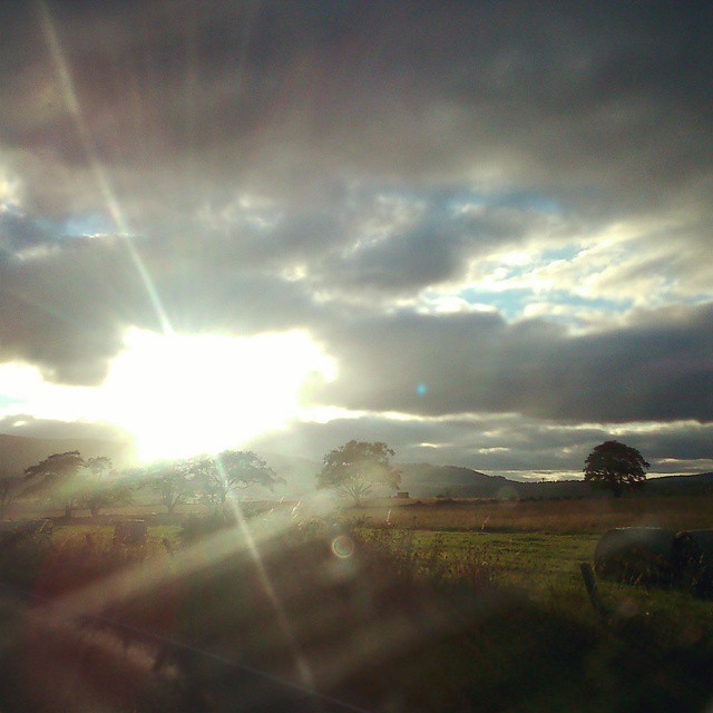 Trying to shoot through a windscreen into the sun was a bad idea.