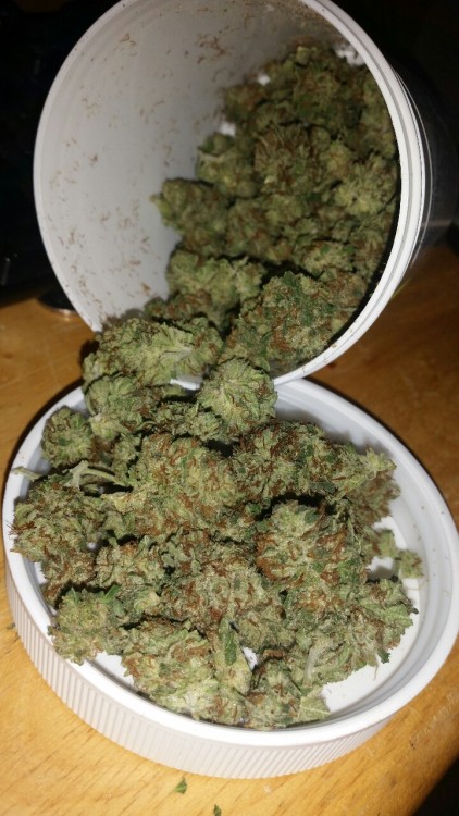 hallucinogen-junkie:  Today’s Pick up 