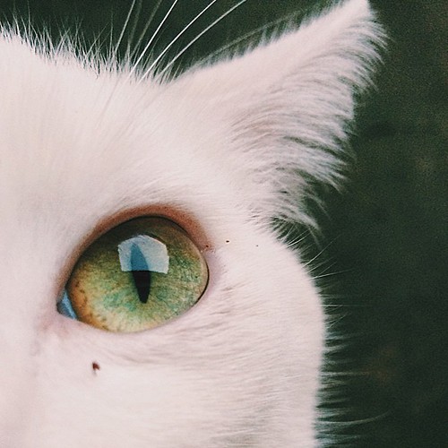teenagehipst3r:  hipster posts