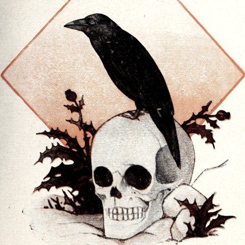 nemfrog: Thistles grow near a crow perched on a skull. La intrusa. 1926. Book cover detail. Int