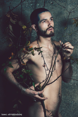 regalpourlesyeux:  Supernature by DanOstergren 